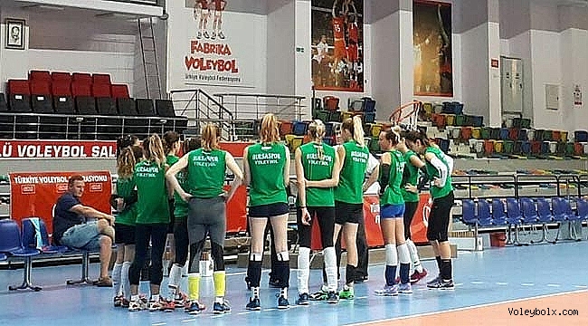 Filenin Timsahları Bartın Yolcusu