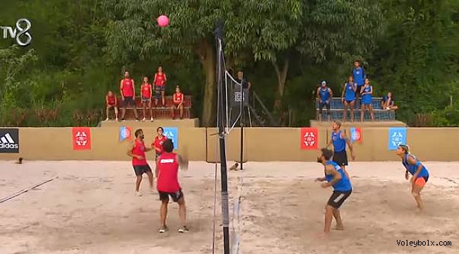 Survivor'da Halkın Favorisi 'Voleybol' Oldu