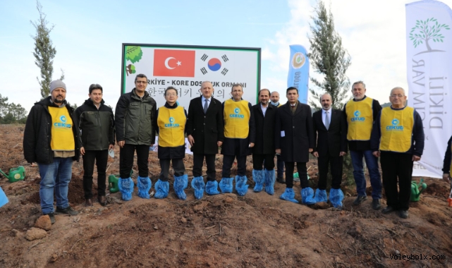 Türkiye-Kore Dostluk Ormanı'nda 50 Bin Fidan Toprakla Buluştu