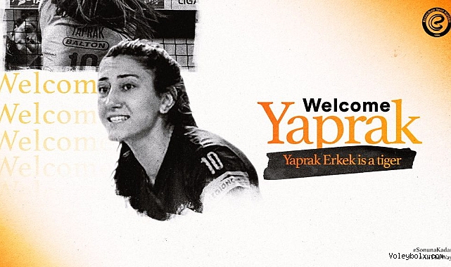 Yaprak Erkek, Eczacıbaşı Dynavit’te