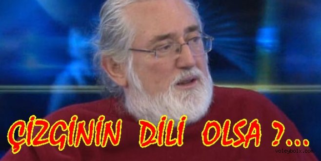 ÇİZGİNİN DİLİ OLSA